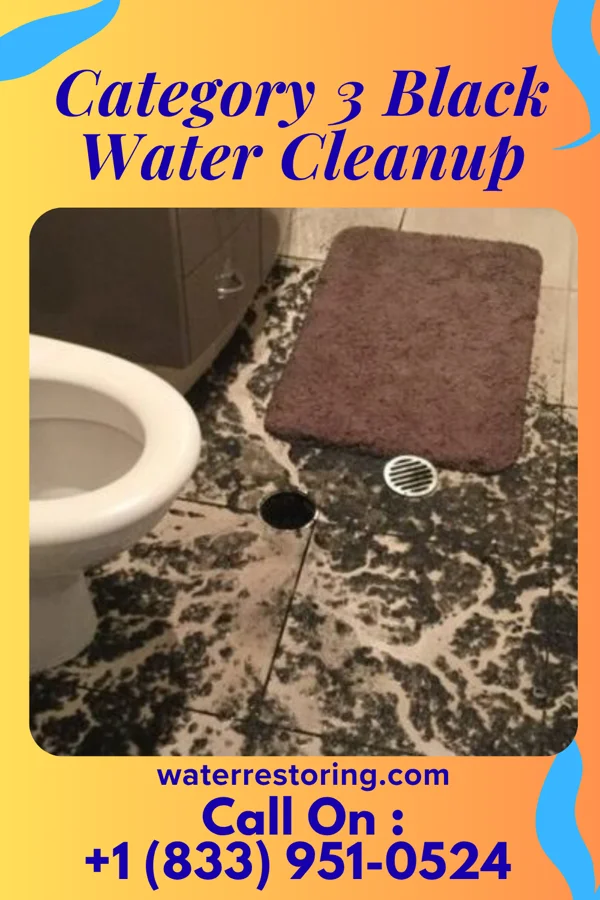 Category 3 Black Water Cleanup in Allenport, PA