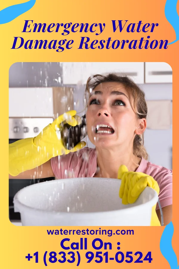 Emergency Water Damage Restoration in Allenport, PA