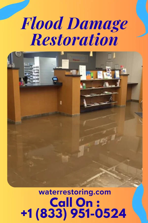 Flood Damage Restoration in Allenport, PA