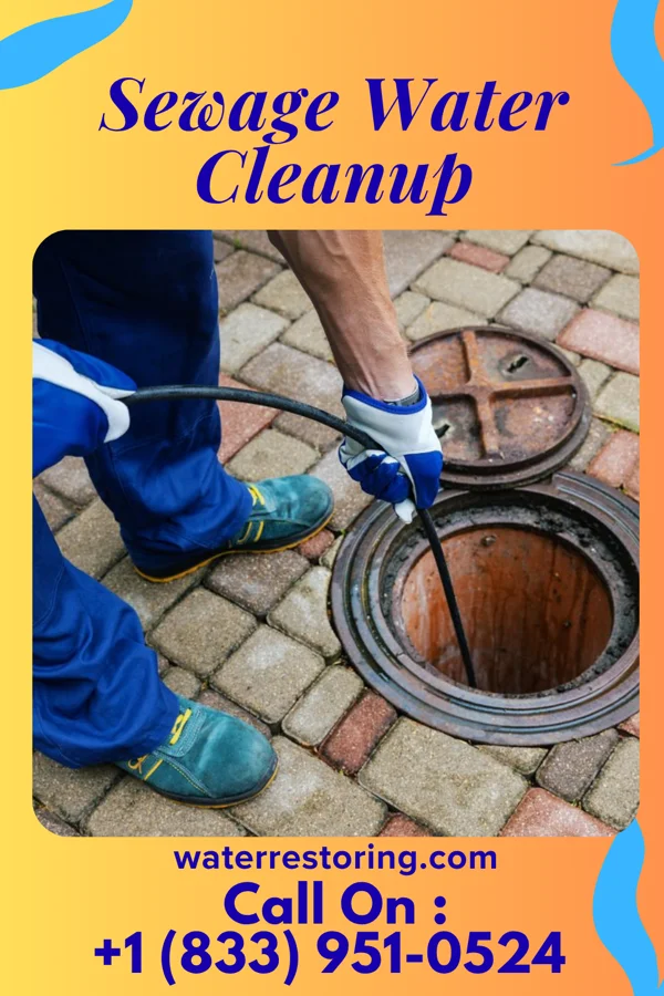 Sewage Water Cleanup in Allenport, PA