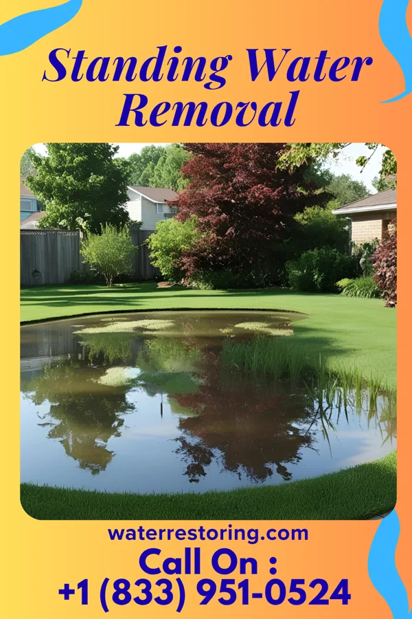 Standing Water Removal in Allenport, PA